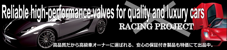 (D1C D2C H11 HB4 BMW キャンセラー)-ディスプレイ －プロテクター －アルピナ